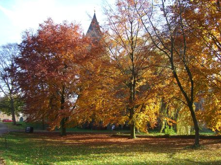 Grevenbroich : Schloss Hülchrath, Herbststimmung im Park